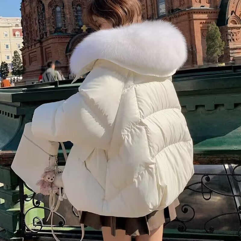Chic Short Fur Collar Puffer