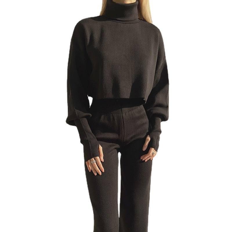 Autumn And Winter New European And American Turtleneck Loose Long Sleeve Top Female Casual Fashion Set-2