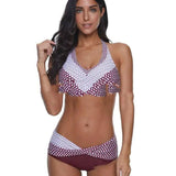 European And Beautiful Sexy Gathered Split Swimsuit-WineRed-4