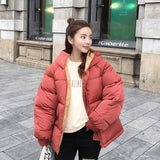 Fashion Short Cotton Coat Ladies Small Padded Jacket-Red-3